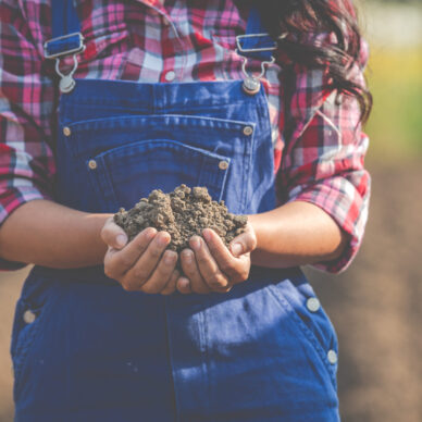 Women farmers are researching the soil.