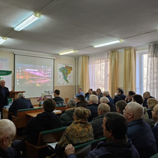 servicii prestate 08