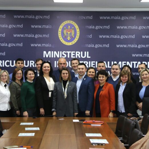 servicii prestate foto 09