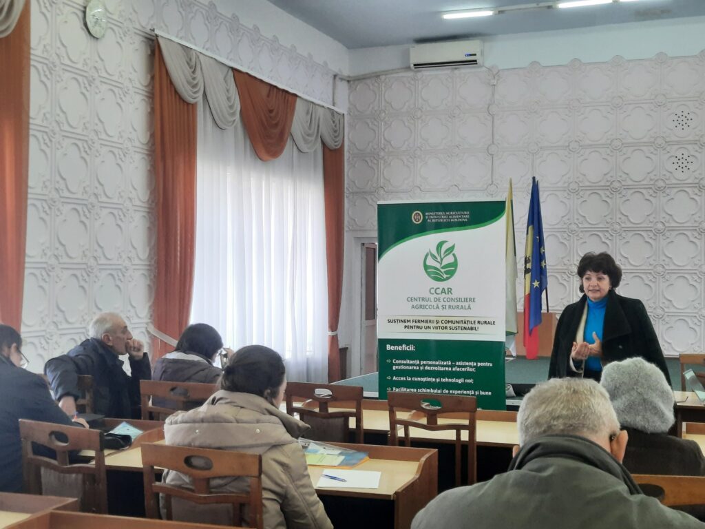 Agricultorii din Cantemir învață strategii financiare pentru afaceri durabile 1 471726212 122129275136564674 2447638424376008947 n
