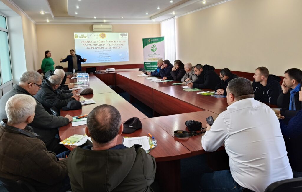 Centrul de Consiliere Agricolă și Rurală - CCAR a organizat două seminarii pentru viticultori 10 476467391 122138673044564674 6751816477587372800 n