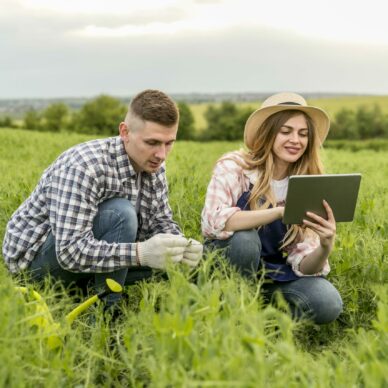 couple-working-farm-with-tablet
