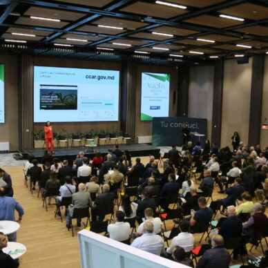 IMG_6930 IMG_6930