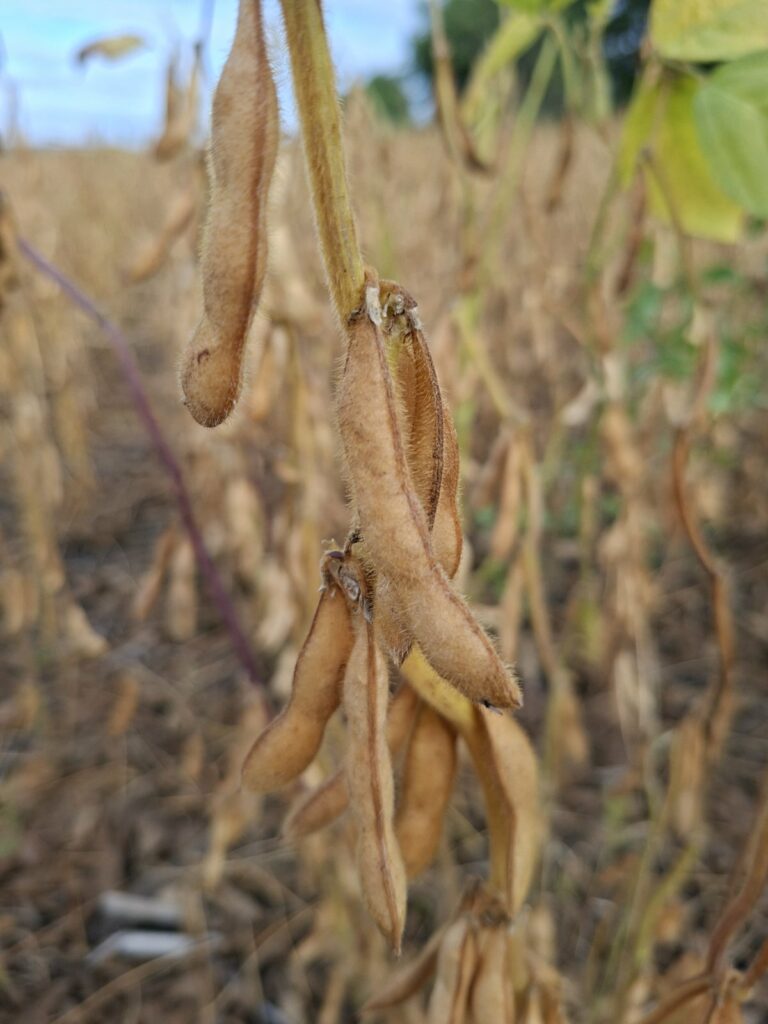 549813766 122181108332564674 6629246097956120304 n