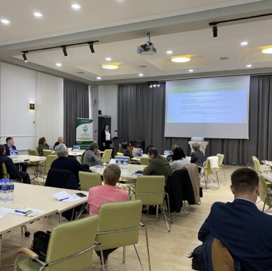 viber_image_2025-12-17_10-56-17-340