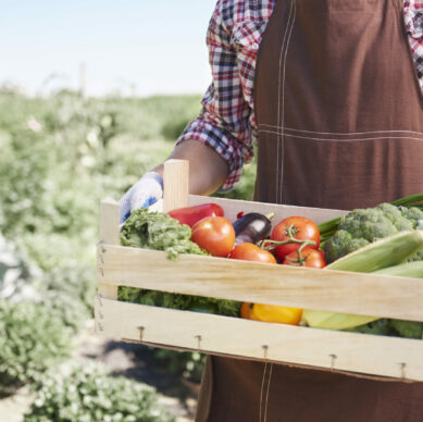 close-up-man-selling-crops-from-his-garden
