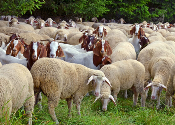 722b5d49-54a2-499a-8119-8fa0e0f34efe