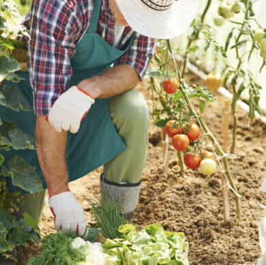Hard work in garden brings results