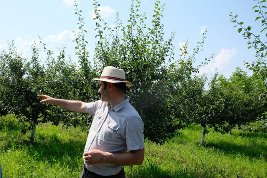 Alexei Micu: „În livadă, temperatura solului poate fi cu până la 10°C mai mică când este înierbată” 4 image 2